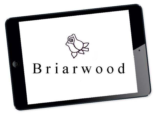 Briarwood Shoes