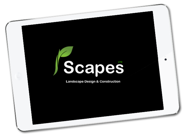 Scapes