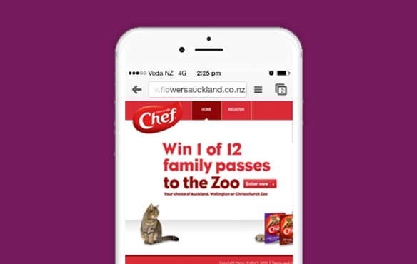 Chef Image1