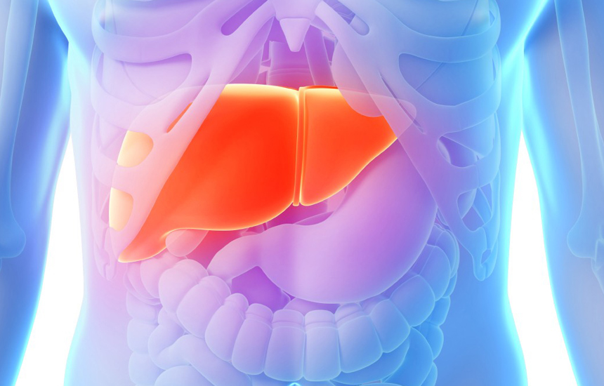 The first 3D Printed Organ will be a Liver