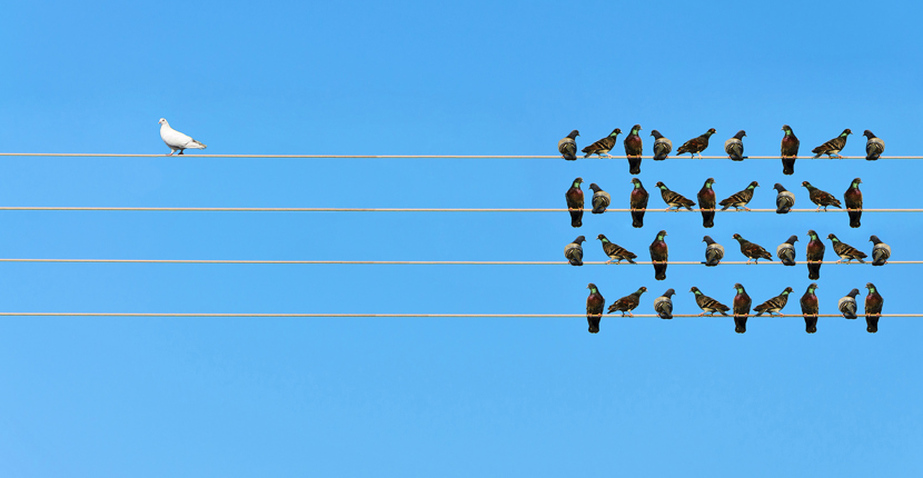 How to write an effective About Us page