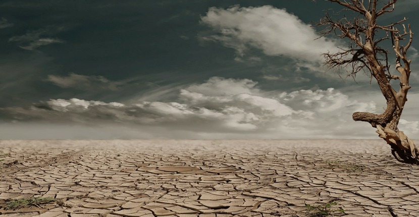 How to move your website when your web developer lets you down